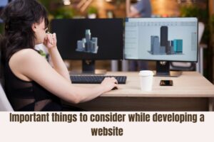 important things to consider while developing a website